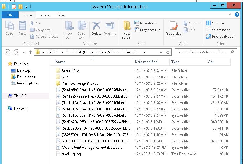 Содержимое каталога System Volume Information в ОС Windows