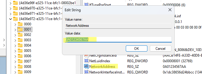 Параметр реестра NetworkAddress содержит MAC адрес сетевой карты