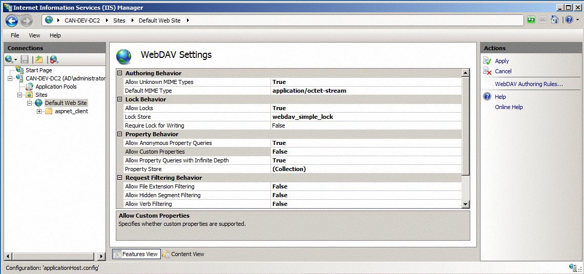 Allow custom. Программа для WEBDAV на ПК. Подготовка сервера перед установкой SCCM. IIS Manager. IIS WEBDAV Extension.