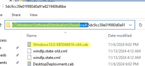 Папка SoftwareDistribution Download кэш скачанных обновлений Windows на компьютере