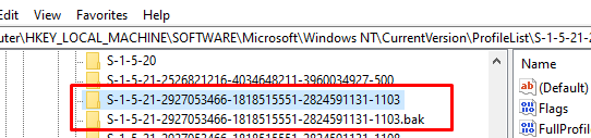 очистка временных профилей в реестре Windows NT\CurrentVersion\ProfileList