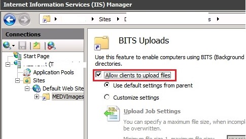 IIS разрешить загрузку файла