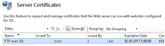 SSL сертификаты в консоли IIS