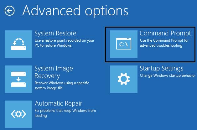 Advanced options -> Command Prompt