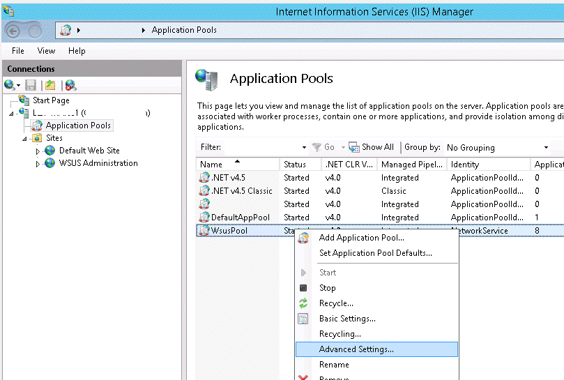 Application Pools -> WsusPool -> Advanced settings