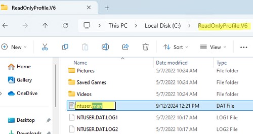 Переименвать файл ntuser.dat в ntuser.man