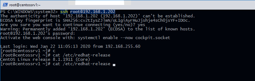 подключение из windows 10 в linux с помощью встроенного ssh клиента