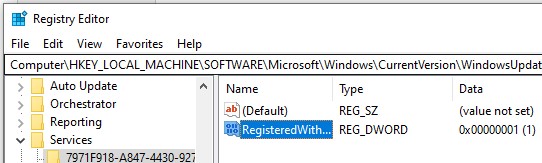 registeredwithAU получаить обновления для других продуктов Microsoft