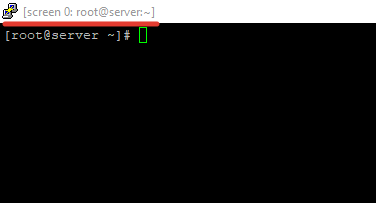 автоматический запуск терминала screen в новой сессии linux