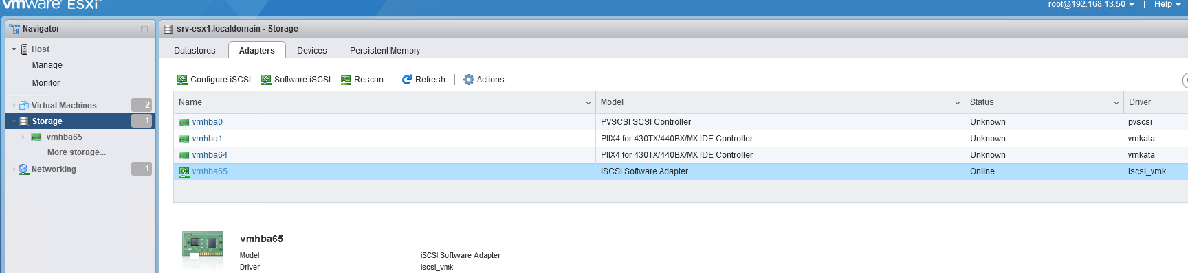 vmhba65 типа iSCSI Software Adapter