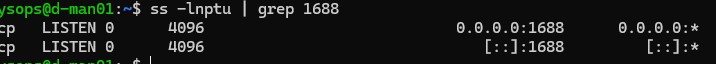 vlscsd слушает на KMS порту 1688