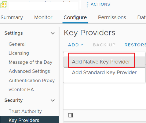 vmware vsphere - Add Native Key Provider