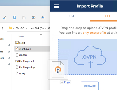 импорт конфигурации клиента ovpn в openvpn клиент