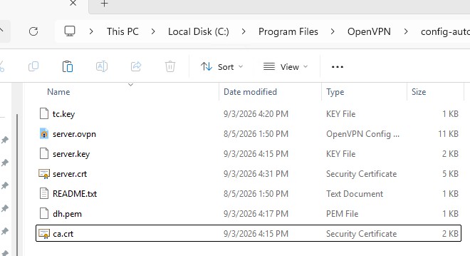 openvpn сервер конфигурационный файл и сертфикаты в папке config-auto