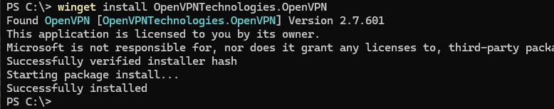 winget install OpenVPNTechnologies.OpenVPN 
