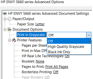отключить режим Print in Grayscale в свойствах принтера HP