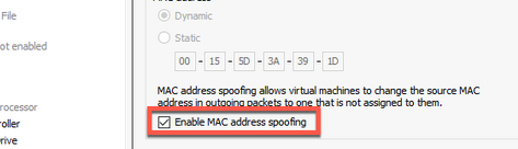 разрешить пожмену MAC адреса в виртуальной машине
