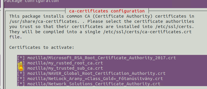 добавить сертификаты в доверенные CA в Linux