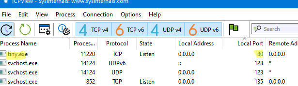 Утилита TCPView показывает процессы и открытые ими порты