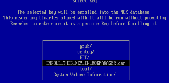ENROLL_THIS_KEY_IN_MOKMANAGER.cer