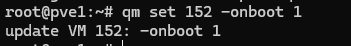 qm set -onboot 