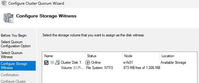 Выбрать storage witness