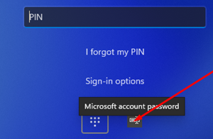 Показать способ входа по паролю на экране входа в Windows 11