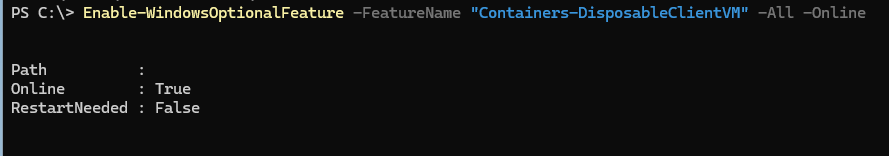 Enable-WindowsOptionalFeature Containers-DisposableClientVM