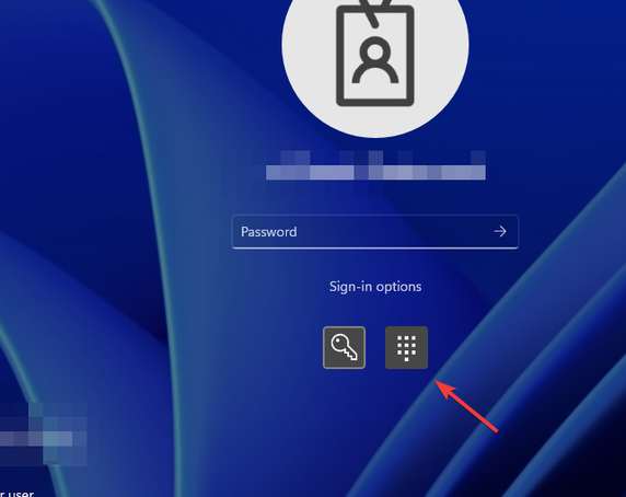 Выбрать тип входа на экране Windows