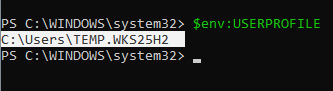 PowerShell - узнать путь к профили пользователя, в данном случае у нас он временный