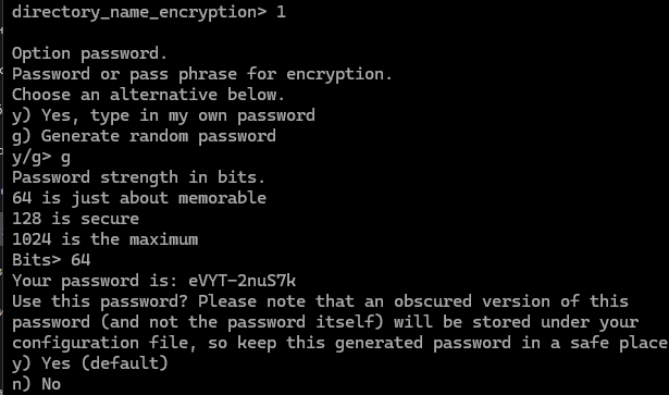 пароли шифрования rclone