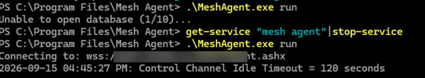 запуск MeshAgent.exe run в режиме отладки