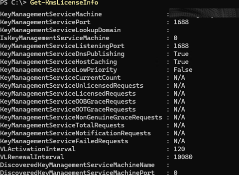 Get-KmsLicenseInfo